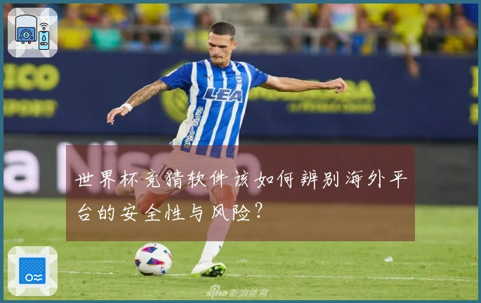 世界杯竞猜软件该如何辨别海外平台的安全性与风险？