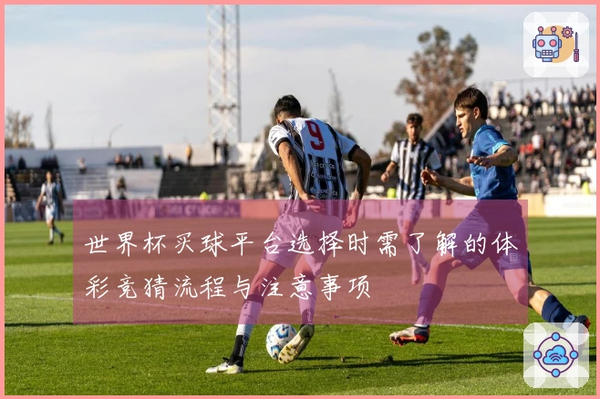 世界杯买球平台选择时需了解的体彩竞猜流程与注意事项