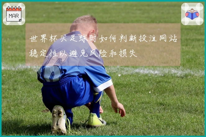 世界杯买足球时如何判断投注网站稳定性以避免风险和损失