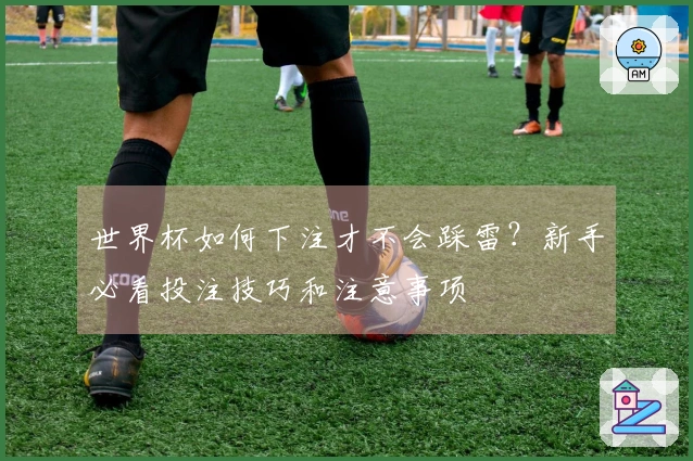 世界杯如何下注才不会踩雷？新手必看投注技巧和注意事项