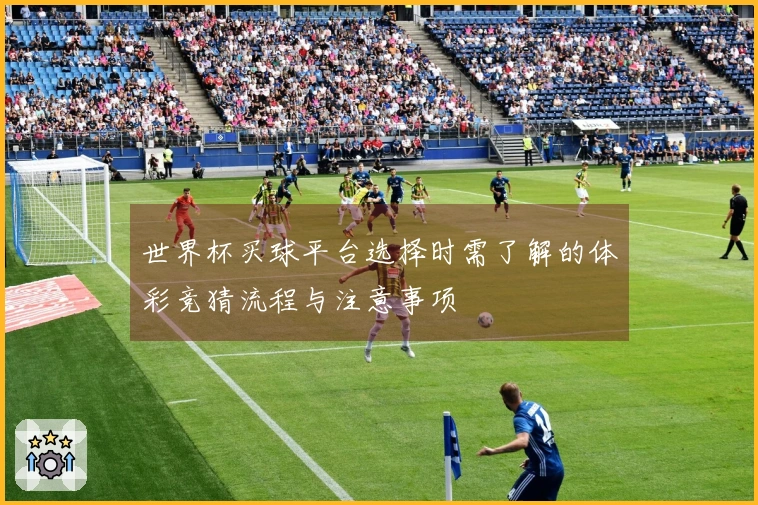 世界杯买球平台选择时需了解的体彩竞猜流程与注意事项