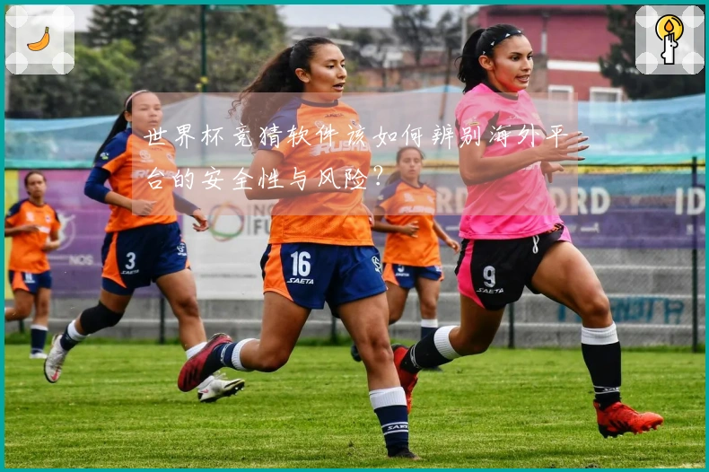 世界杯竞猜软件该如何辨别海外平台的安全性与风险？
