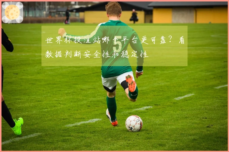世界杯投注站哪个平台更可靠？看数据判断安全性和稳定性