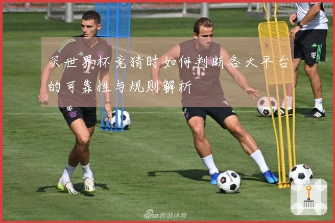 买世界杯竞猜时如何判断各大平台的可靠性与规则解析